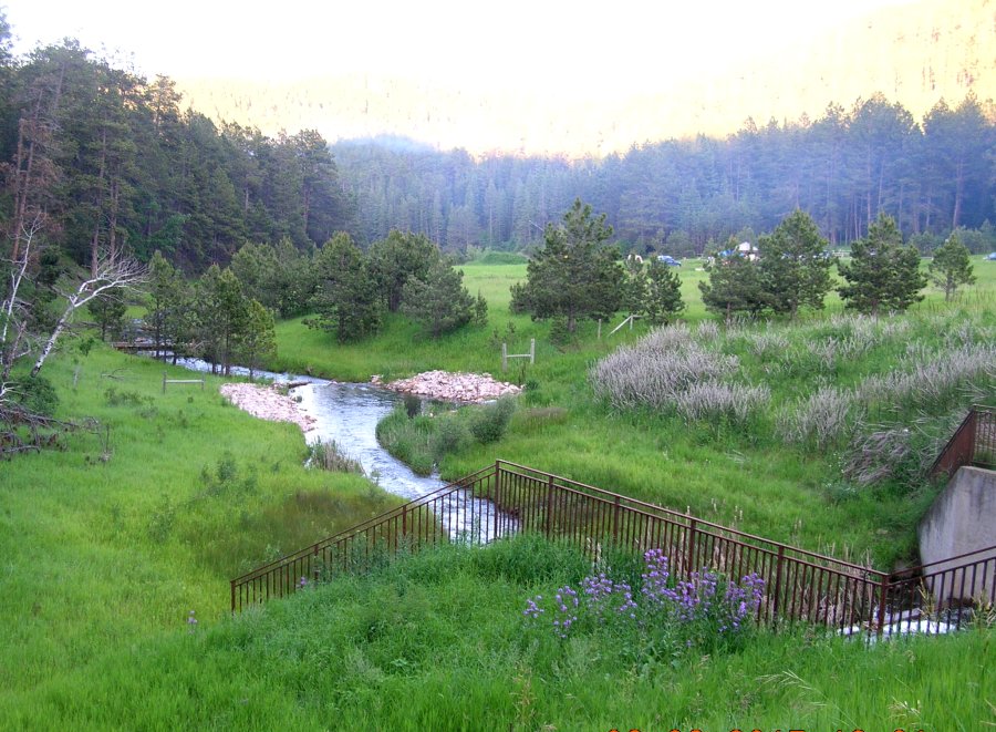 Black Hills Lodging & Cabins